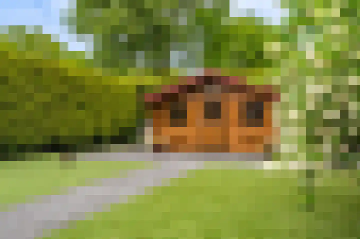 Hoofdweg 226 Bellingwolde thumbnail 15