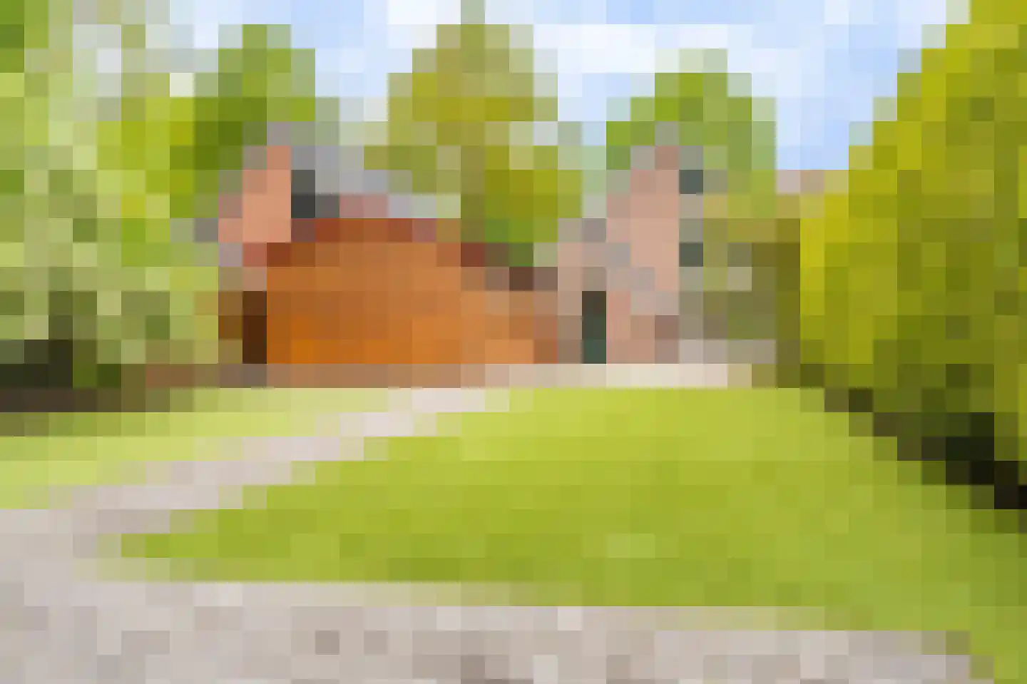 Hoofdweg 226 Bellingwolde thumbnail 17