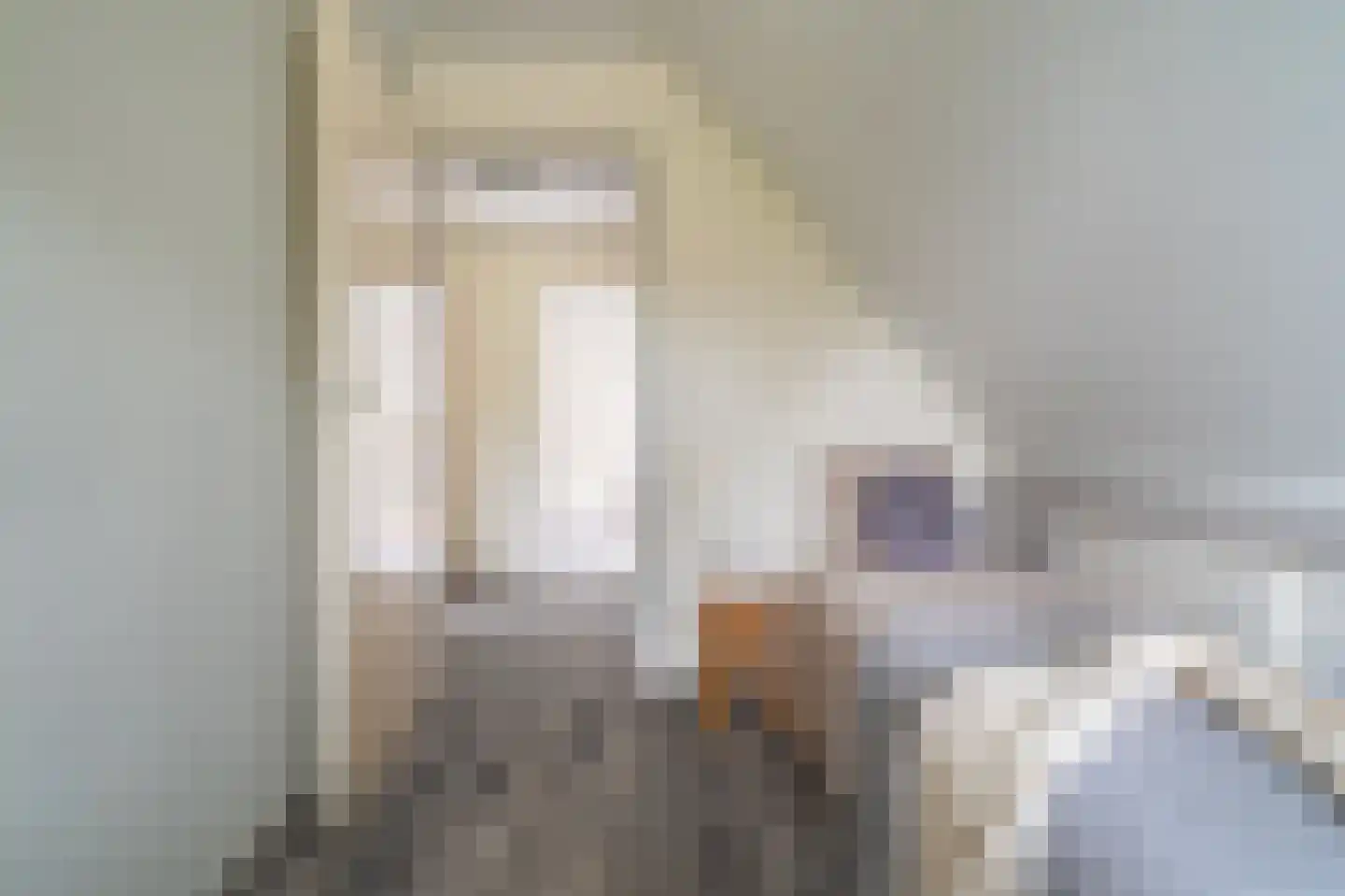 Hoofdweg 226 Bellingwolde thumbnail 43