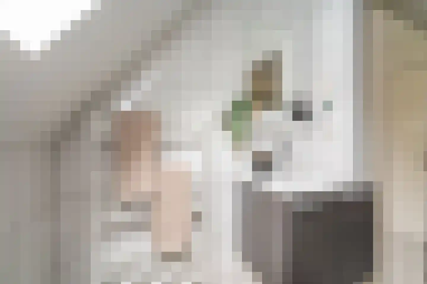 Hoofdweg 226 Bellingwolde thumbnail 52