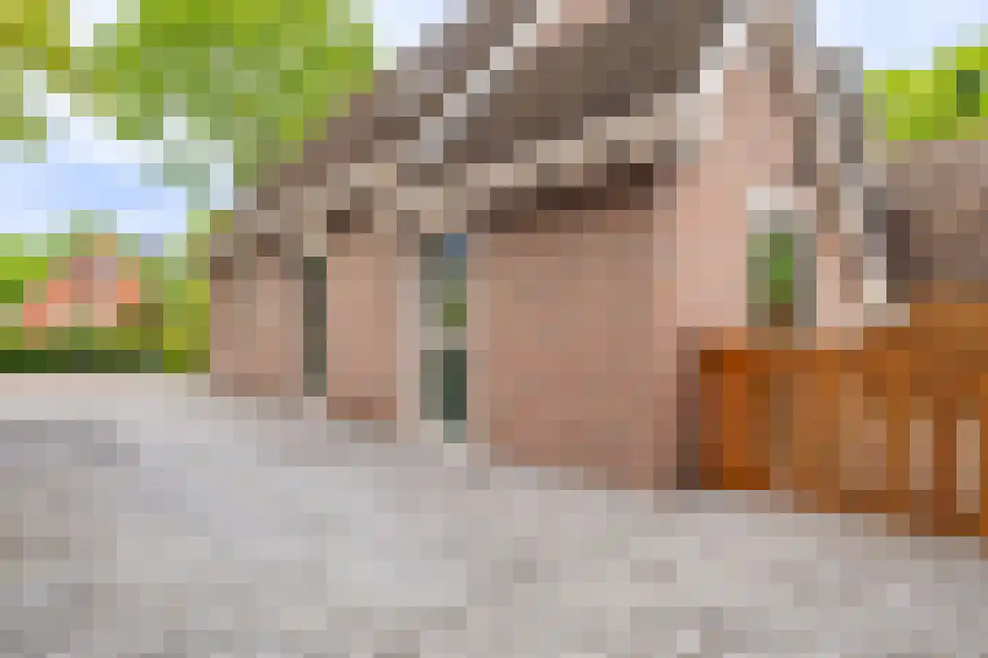 Hoofdweg 226 Bellingwolde thumbnail 7