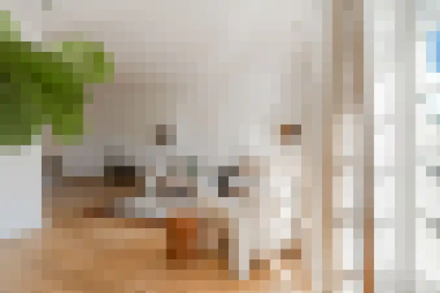 Hoofdweg 23 2 Amsterdam thumbnail 15