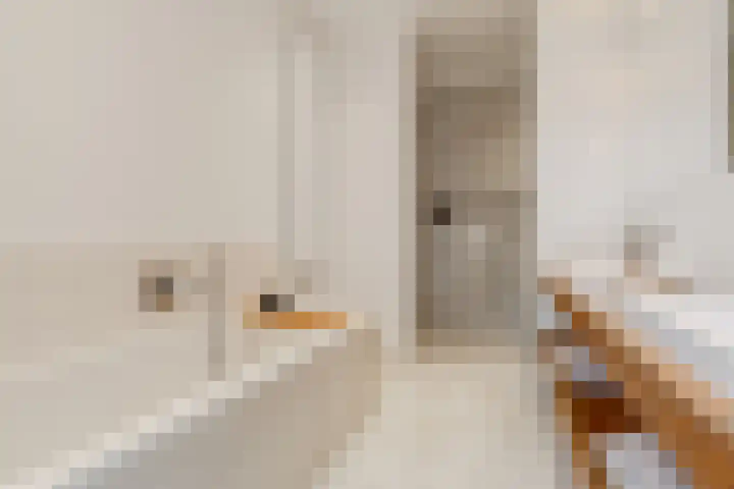 Hoofdweg 23 2 Amsterdam thumbnail 58