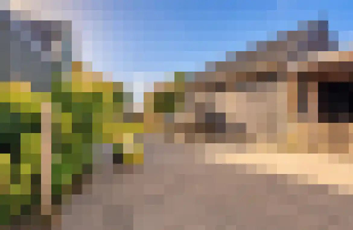 Hoofdweg 231 Westerlee thumbnail 28