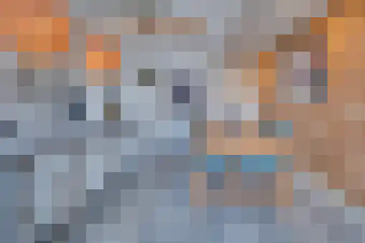 Hoofdweg 234 Bovensmilde thumbnail 10