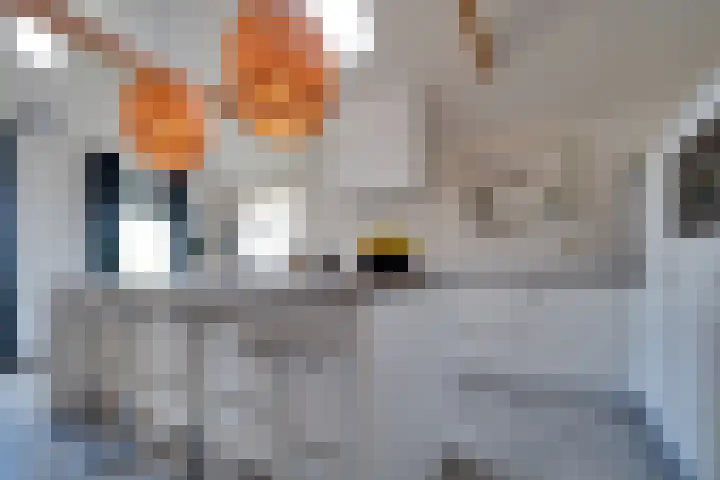 Hoofdweg 234 Bovensmilde thumbnail 13