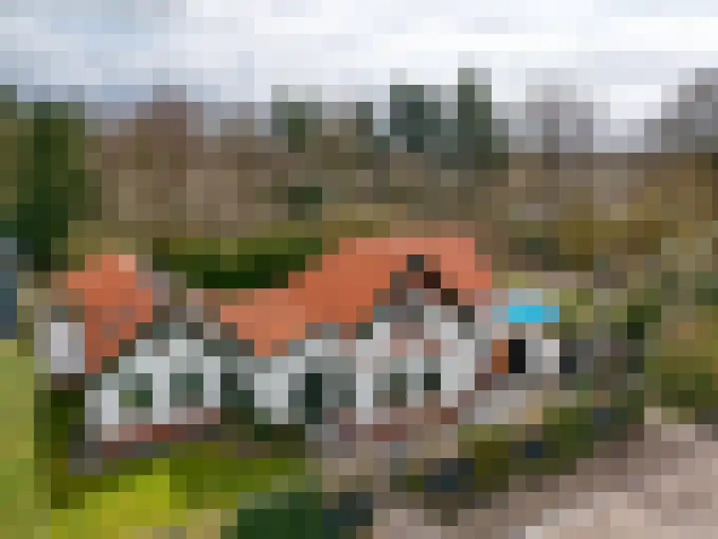 Hoofdweg 234 Bovensmilde thumbnail 30
