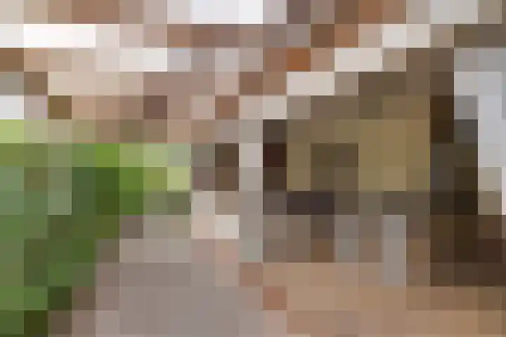 Hoofdweg 234 Bovensmilde thumbnail 33