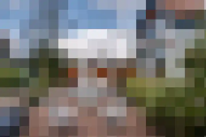 Hoofdweg 234 Bovensmilde thumbnail 34