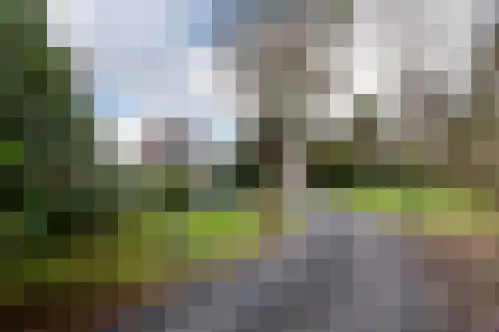 Hoofdweg 234 Bovensmilde thumbnail 4