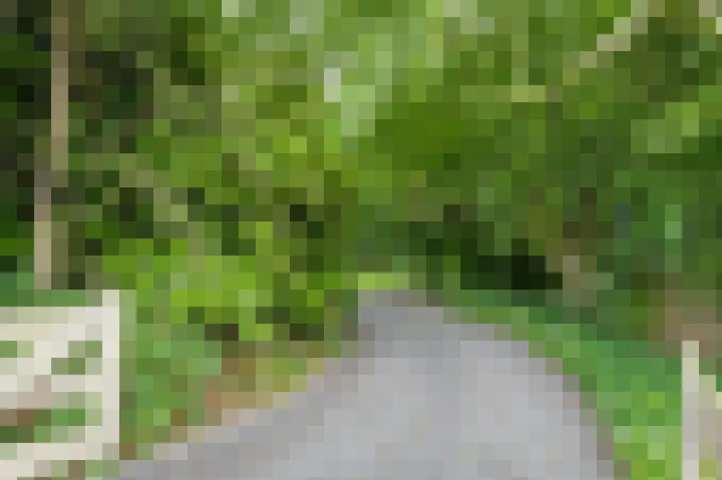 Hoofdweg 234 Bovensmilde thumbnail 45