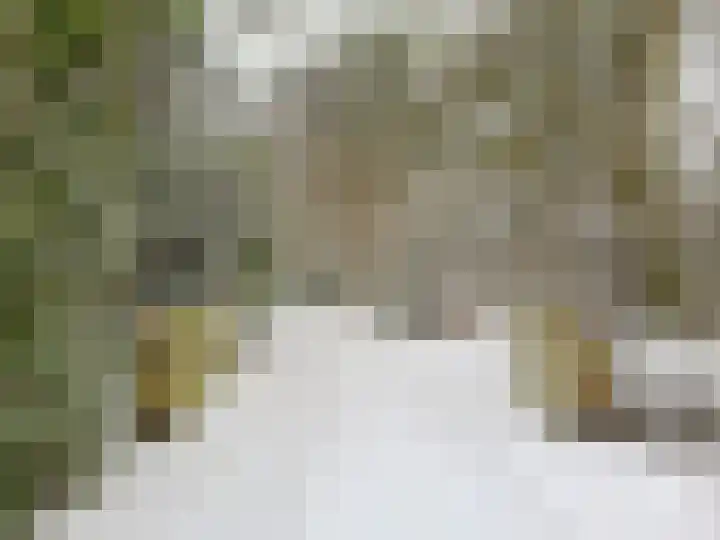 Hoofdweg 234 Bovensmilde thumbnail 50