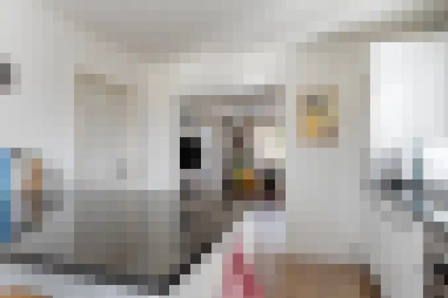 Hoofdweg 236 Midwolda thumbnail 21