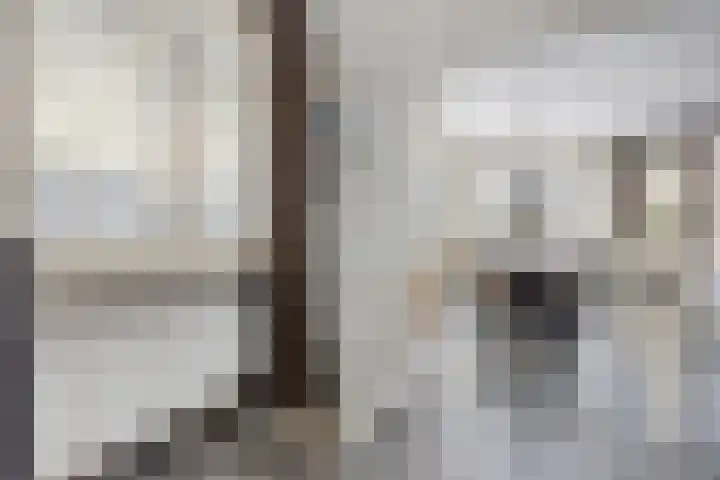 Hoofdweg 238 Nijeholtpade thumbnail 15