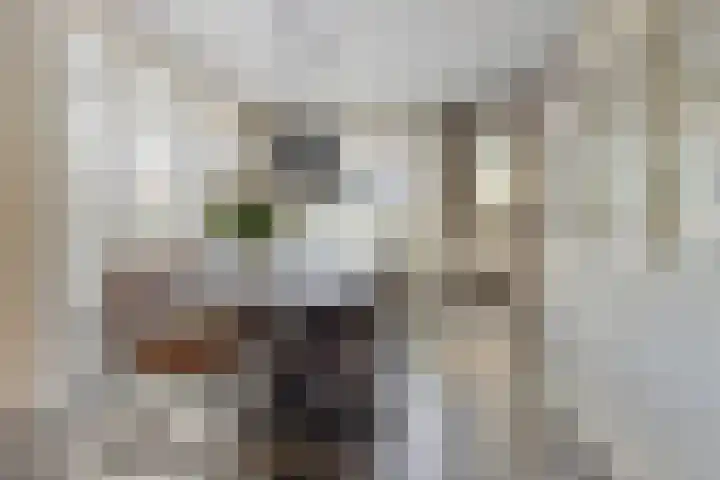 Hoofdweg 238 Nijeholtpade thumbnail 16