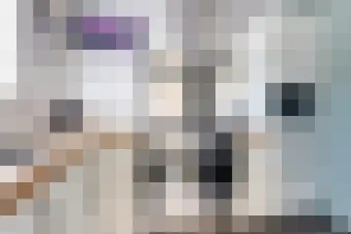 Hoofdweg 238 Nijeholtpade thumbnail 17
