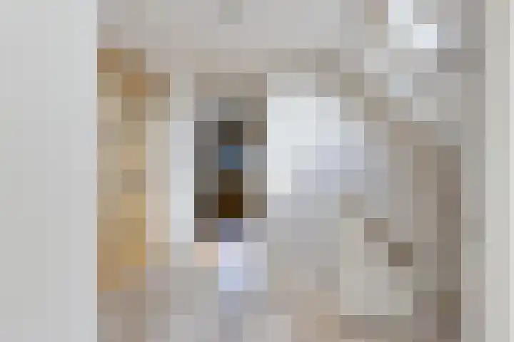 Hoofdweg 238 Nijeholtpade thumbnail 23