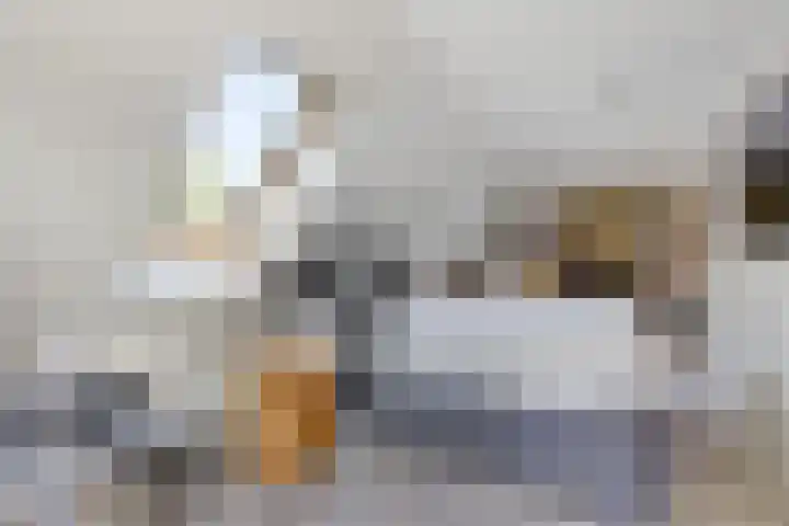 Hoofdweg 238 Nijeholtpade thumbnail 25