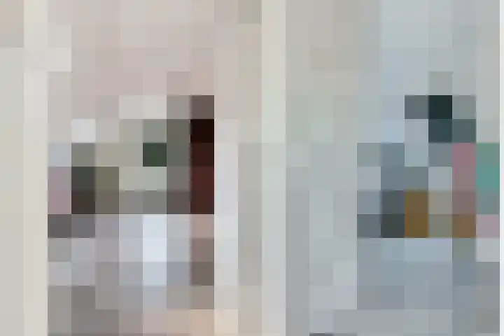 Hoofdweg 238 Nijeholtpade thumbnail 28