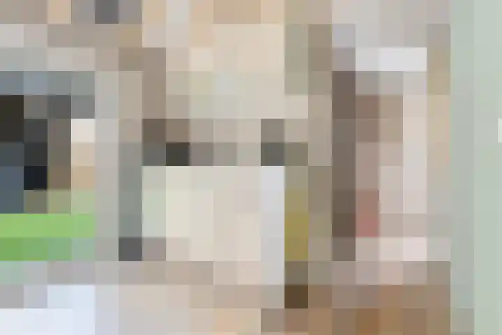 Hoofdweg 238 Nijeholtpade thumbnail 35