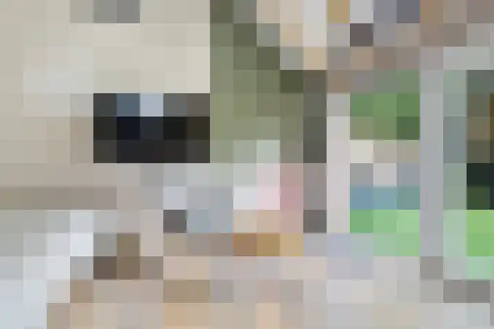 Hoofdweg 238 Nijeholtpade thumbnail 37