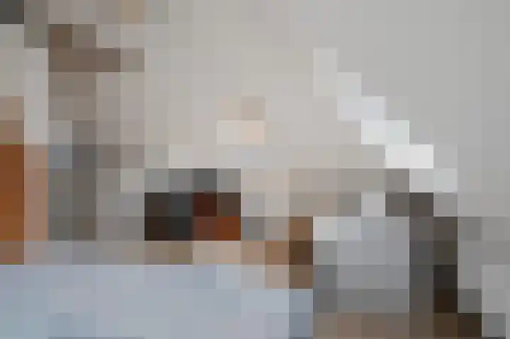 Hoofdweg 24 Godlinze thumbnail 28