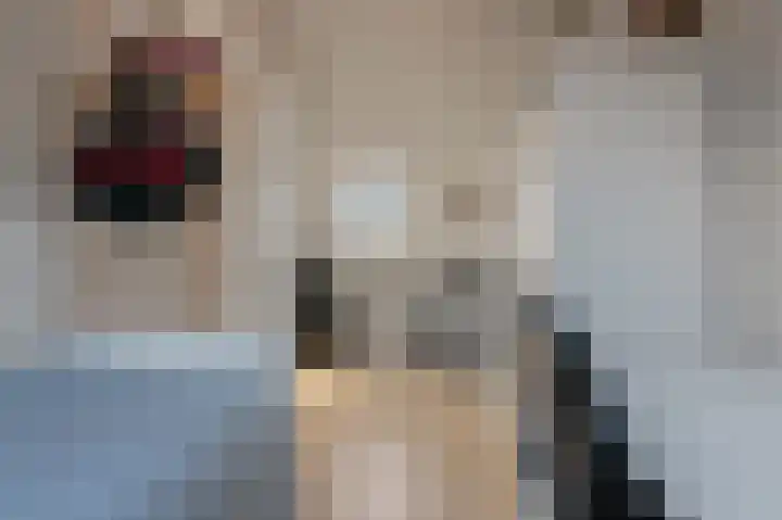 Hoofdweg 24 Godlinze thumbnail 34