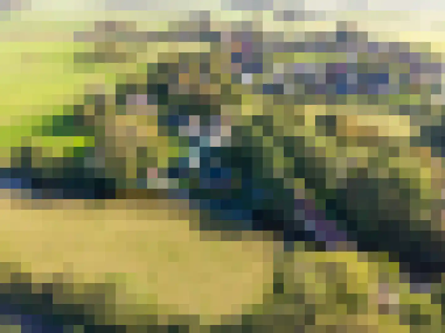 Hoofdweg 24 Hitzum thumbnail 12