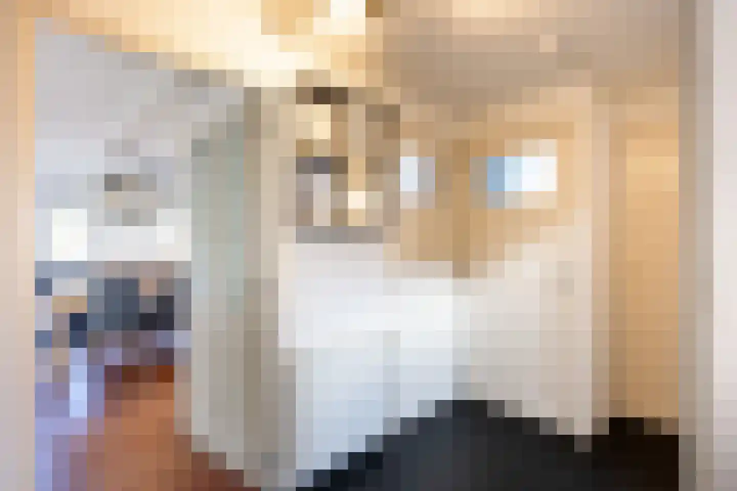 Hoofdweg 24 Hitzum thumbnail 33