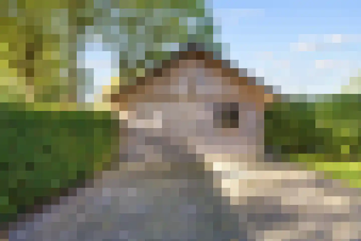 Hoofdweg 24 Hitzum thumbnail 38