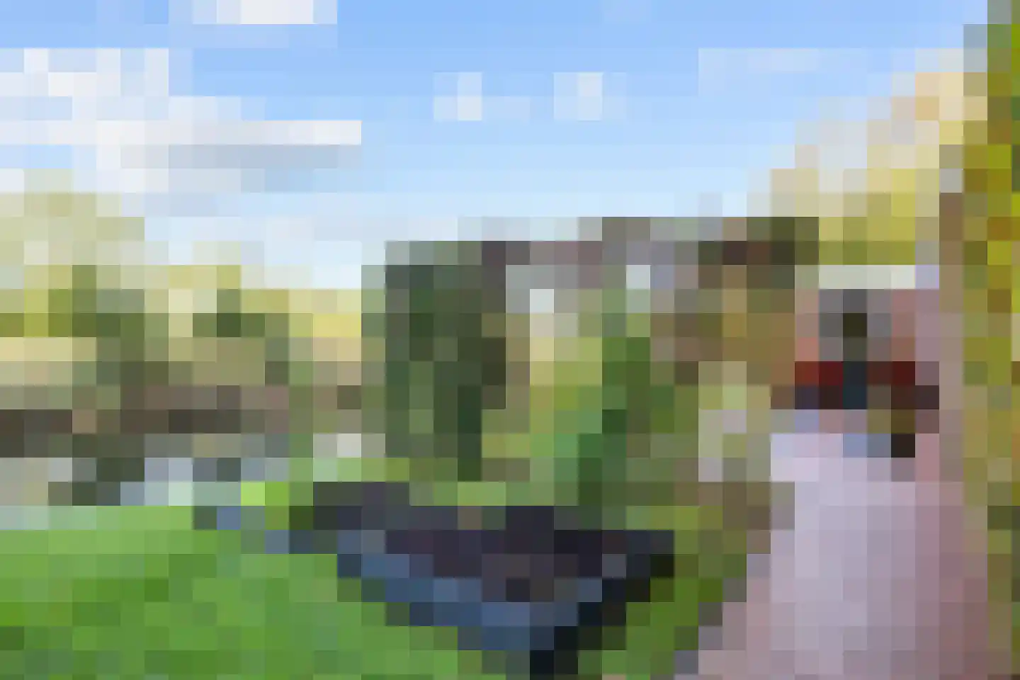 Hoofdweg 24 Hitzum thumbnail 41