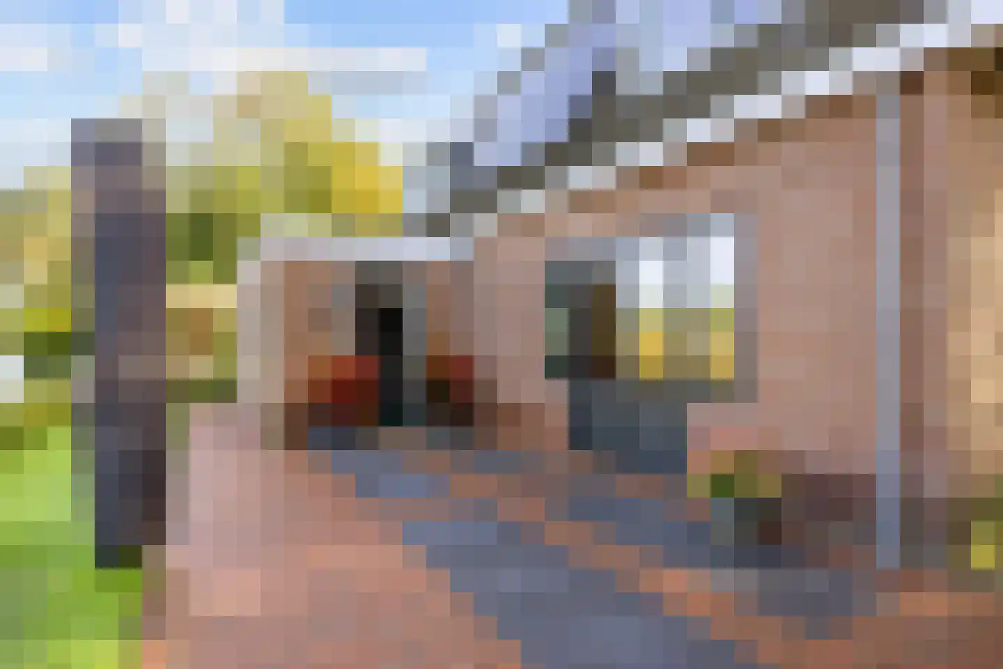 Hoofdweg 24 Hitzum thumbnail 43