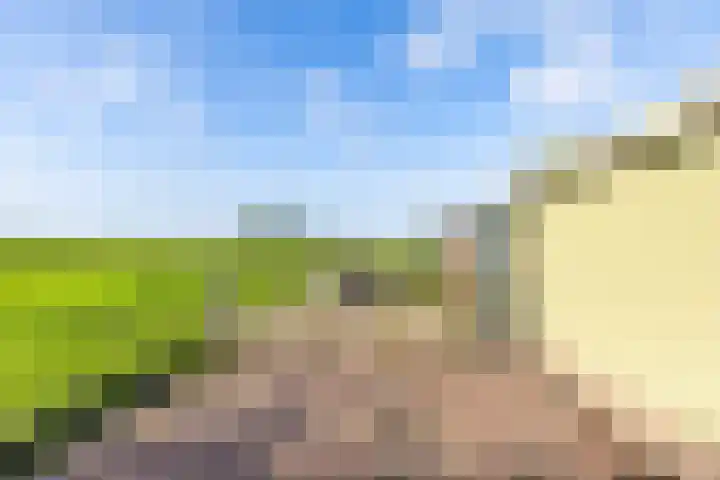 Hoofdweg 24 Scharmer thumbnail 11