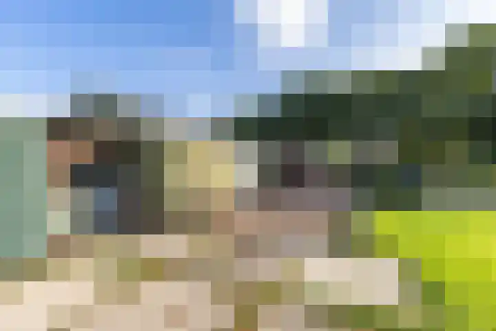 Hoofdweg 24 Scharmer thumbnail 12