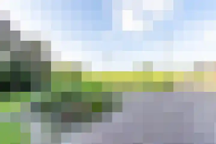 Hoofdweg 24 Scharmer thumbnail 13