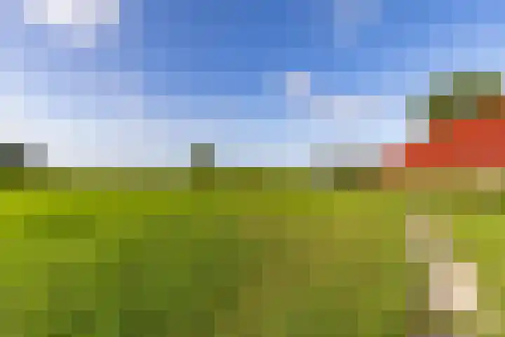Hoofdweg 24 Scharmer thumbnail 15