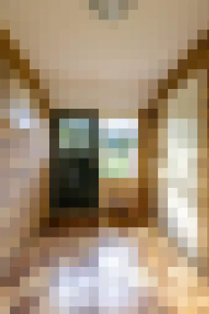 Hoofdweg 24 Scharmer thumbnail 20