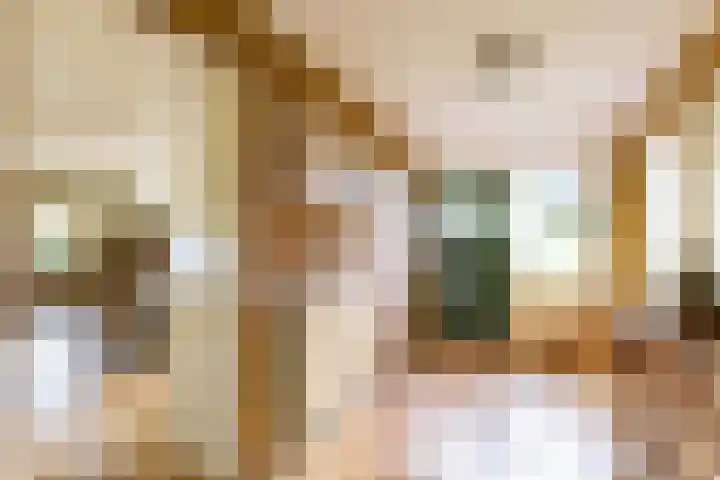 Hoofdweg 24 Scharmer thumbnail 22