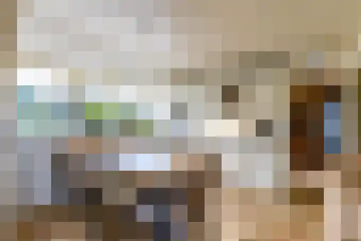 Hoofdweg 24 Scharmer thumbnail 25