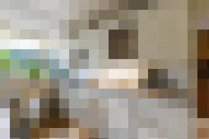 Hoofdweg 24 Scharmer thumbnail 26
