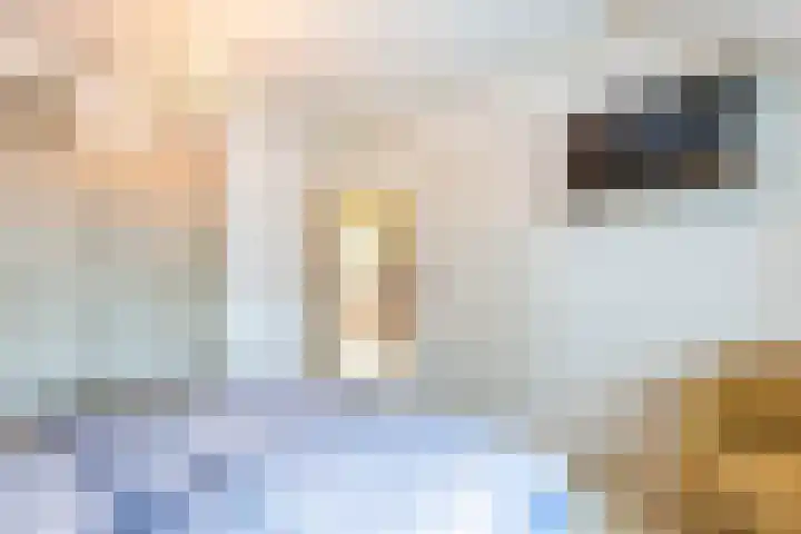 Hoofdweg 24 Scharmer thumbnail 34