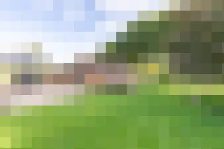 Hoofdweg 24 Scharmer thumbnail 4