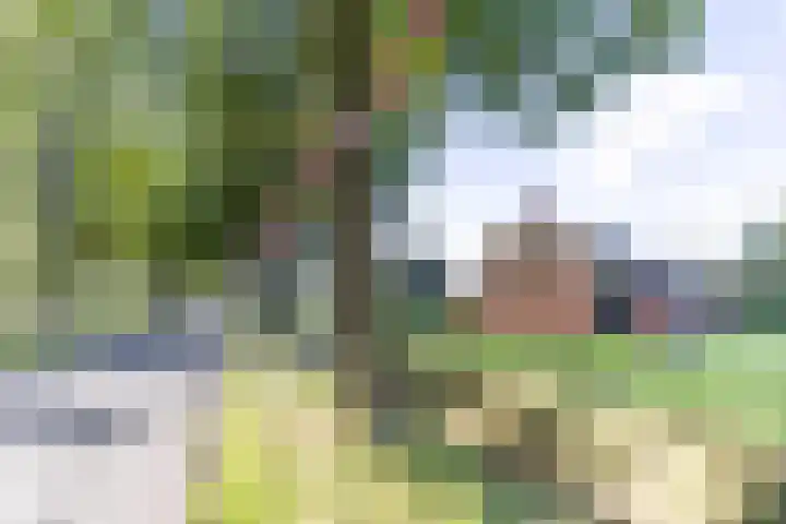 Hoofdweg 24 Scharmer thumbnail 6