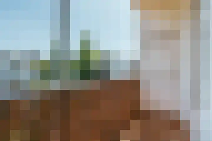 Hoofdweg 240 1 Amsterdam thumbnail 17