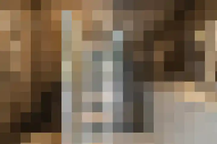 Hoofdweg 244 C Rotterdam thumbnail 17