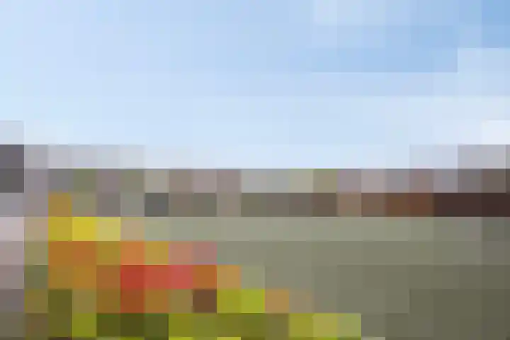 Hoofdweg 244 C Rotterdam thumbnail 30
