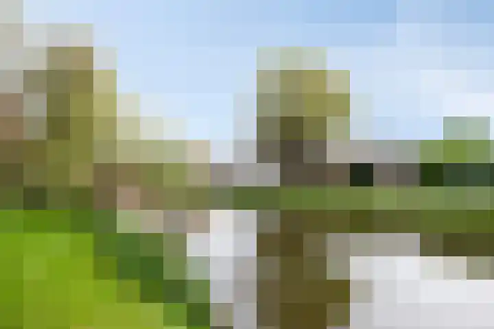 Hoofdweg 244 C Rotterdam thumbnail 32