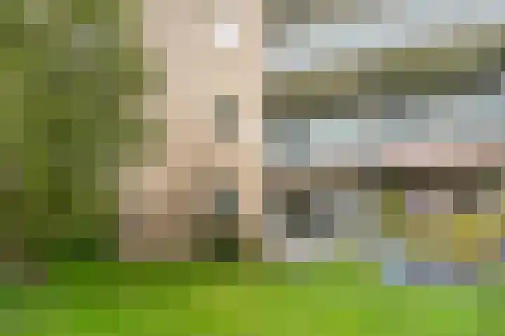 Hoofdweg 244 C Rotterdam thumbnail 8