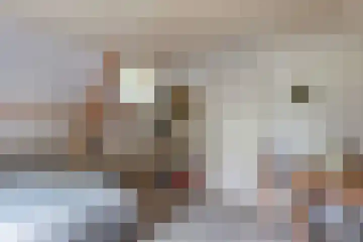 Hoofdweg 245 Nijeholtpade thumbnail 26