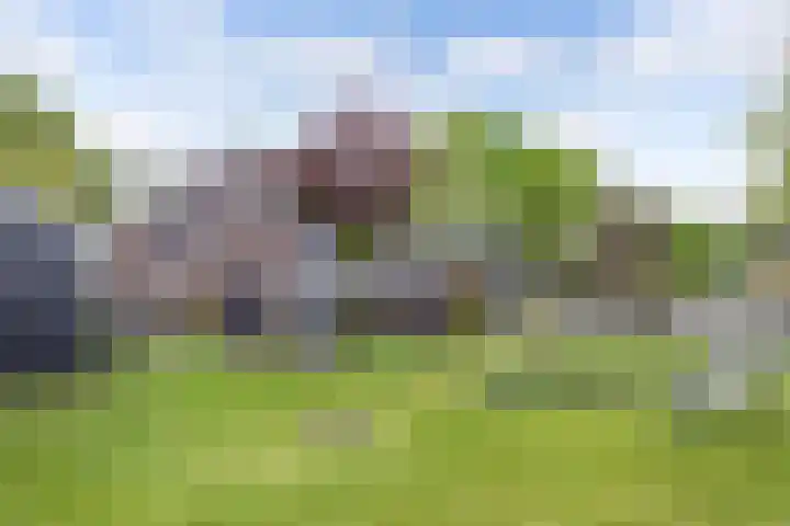 Hoofdweg 245 Nijeholtpade thumbnail 32